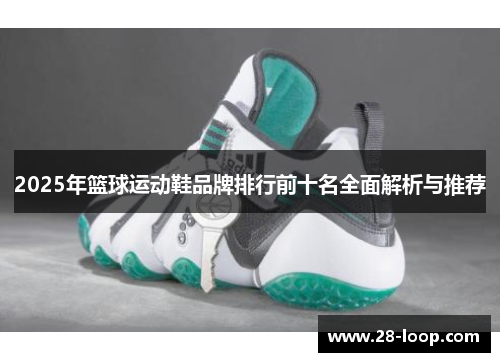 2025年篮球运动鞋品牌排行前十名全面解析与推荐