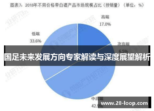 国足未来发展方向专家解读与深度展望解析