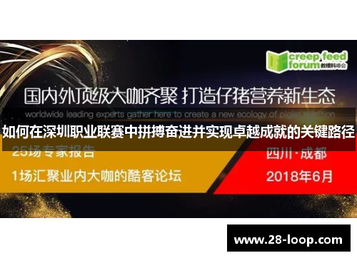 如何在深圳职业联赛中拼搏奋进并实现卓越成就的关键路径
