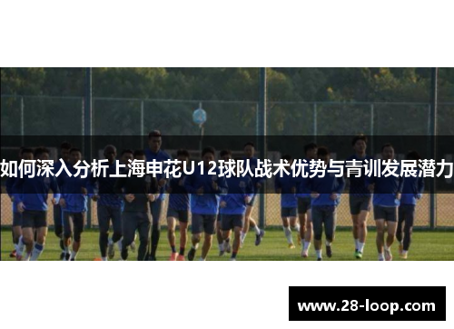 如何深入分析上海申花U12球队战术优势与青训发展潜力
